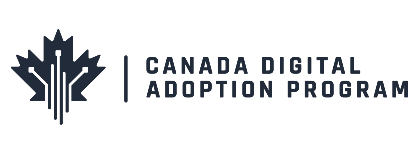 CDAP - Grow Your Business Online